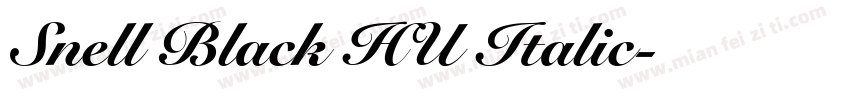 Snell Black HU Italic字体转换